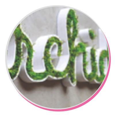 vegetal